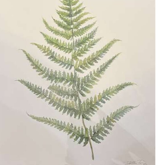 Woodland Fern Illustration - Green Botanical Watercolor Painting - Picture 2 of 3